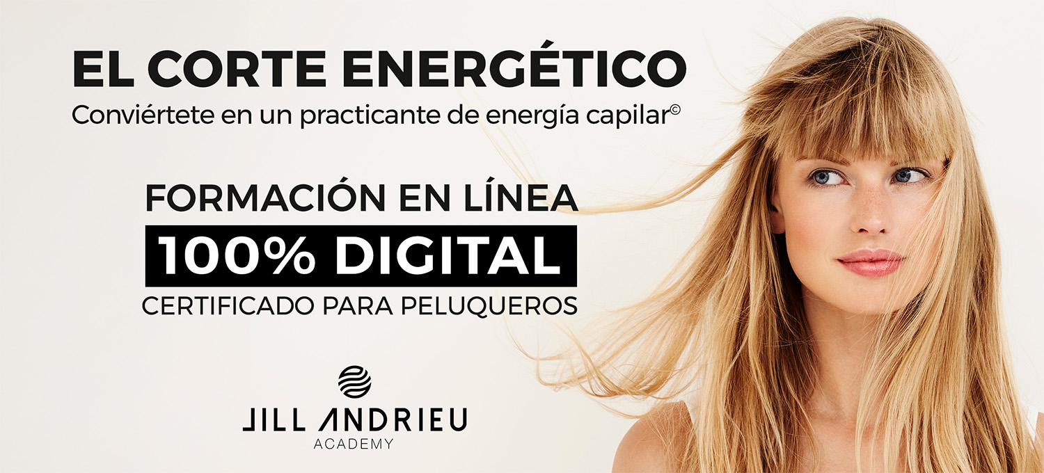 Jill Andrieu - EL Corte energético
